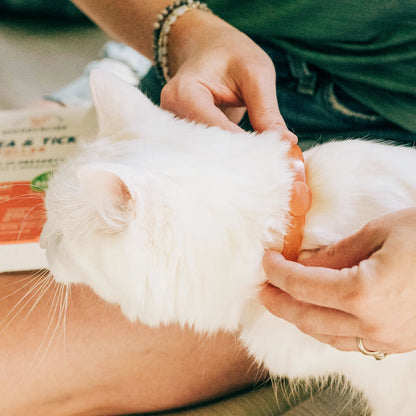 Flea & Tick Collar for Dogs + Cats with Natural Essential Oils